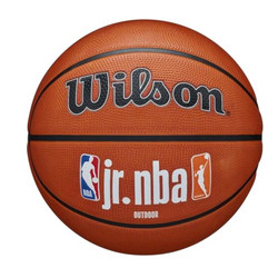 Wilson Jr NBA Fam Logo Authentic Outdoor WZ3011801XB