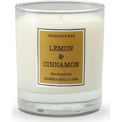Αρωματικό Κερί σε Γυαλί Lemon & Cinnamon 230gr
