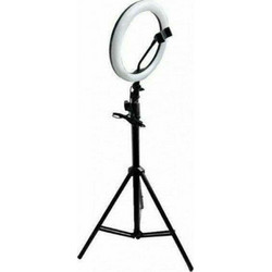 Fill Light Ring Light 25.4cm 4445624110227