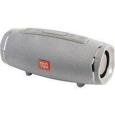 T&G TG-145 Ηχείο Bluetooth 10W με Ραδιόφωνο Ασημί