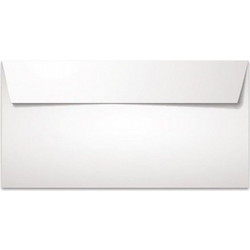 Typotrust Envelope White Frame Sticker 115x230 (3005) (TYP3005)