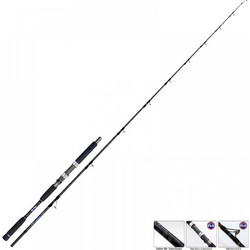 Pregio Throne Inchiku Καλάμι Ψαρέματος για Jigging / Inchiku Carbon Δίσπαστο 2.1m 50-200gr