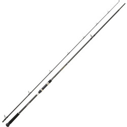 Daiwa Procaster Game Καλάμι Ψαρέματος για Shore Jigging Carbon Δίσπαστο 3m 30-120gr