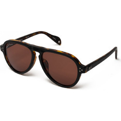 Hally&son DH507 S03 Γυαλιά Ηλίου Aviator Κοκάλινα Χρυσά με Καφέ Polarized Φακό