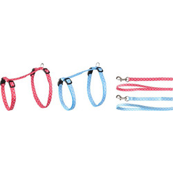 CAT HARNESS + LEASH BIG CAT AMSI 25-40CM 10MM ASSORTMENT