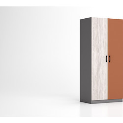 Δίφυλλη ντουλάπα RIKI 80x52x181 DIOMMI 31-010