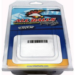 ALL BALLS Swing Arm Bearing Kit