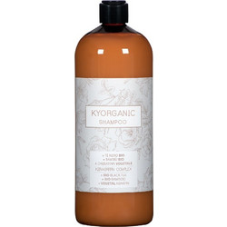 KYO Kyorganic Σαμπουάν 1lt