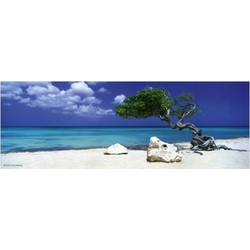 Puzzle Heye Puzzle Humboldt Divi Divi Tree 75 Κομμάτια