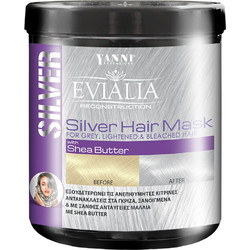 Yanni Extensions Silver Μάσκα Μαλλιών για Προστασία Χρώματος Επανόρθωση για Βαμμένα & Ταλαιπωρημένα Μαλλιά 1lt