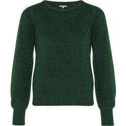 Levi's Γυναικεία Πλεκτή Μπλούζα Κυπαρισσί AO095-0026