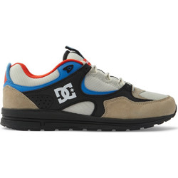 DC Ανδρικά Sneakers Πολύχρωμα ADYS100291BTW