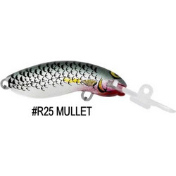 Halcro Sorcerer 52 STD Τεχνητό Δόλωμα Ψαράκι 5.2cm 6gr R25