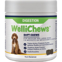 NutriScience WelliChews Digestion Συμπλήρωμα Διατροφής Σκύλου για Γαστρεντερικές Διαταραχές 60 Δισκία