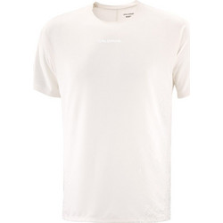 Salomon Ανδρικό Αθλητικό T-Shirt Μπεζ LC2700100