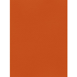 Favini Χαρτόνι Κανσόν Πορτοκαλί 50x70cm 831.5070.09T