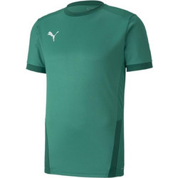 Puma Teamgoal 23 Ανδρικό Αθλητικό T-Shirt Πράσινο 704171-05