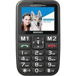 Brondi Amico Stiloso