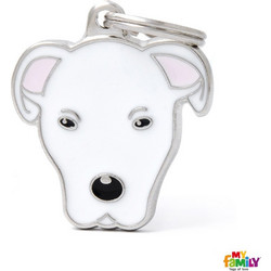 Ταυτότητα Dogs Argentina dogo