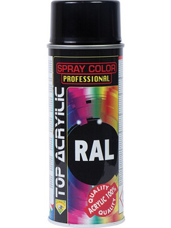 ECO Service RAL Σπρέι Βαφής 9005 Gloss 400ml