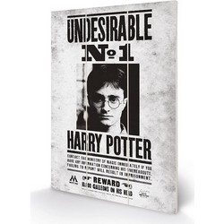 HARRY POTTER - Wood Print 20x29.5 - Undesirable No1