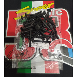 Βίδα Torx M6x55mm Για Piaggio/Gilera/Aprilia/Vespa 50-125-150-180-200-250-300-310-400-500cc Καινούργια Γνήσια