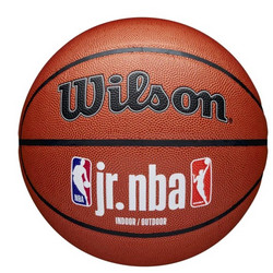 Wilson Jr NBA Fam Logo In/Out WZ2009801XB