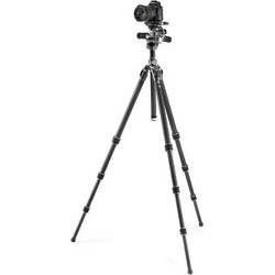 Gitzo GK2542-F3W