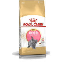 Royal Canin Kitten British Shorthair with Poultry & Rice 2kg