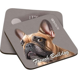 Action Lab Souver Frensh Bulldog 2pcs