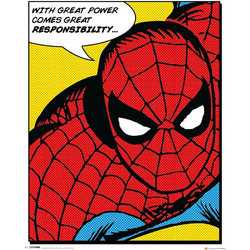 Marvel Poster Pack Spider-Man Quote 40 x 50cm