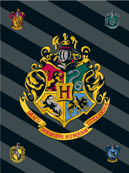 ΚΟΥΒΕΡΤΑ FLEECE HARRY POTTER
