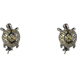 Lancaster Pending Woman (1,2MM ) - (JLAEARTURTLE3)