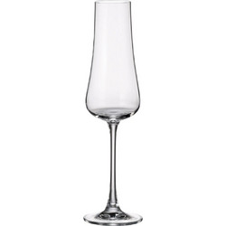 Ποτήρι Σαμπάνιας 250ml Iduna - Crystal Bohemia - 6 ΤΜΧ