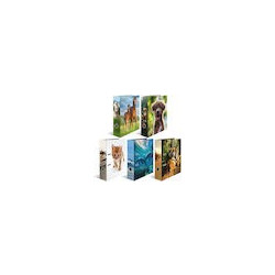 1x10 Herma Motiv-Ordner DIN A4 Lieblingstiere 20096