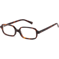 REFLET 093T C2 51 photochromic