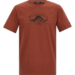 Ανδρικό T-Shirt Regatta Cline IX Brick Red, Χρώμα: Brick Red