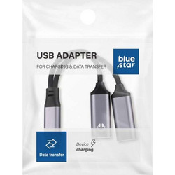 Blue Star Type-C Adaptor - Μετατροπέας Διπλής Εξόδου Type-C σε Γκρι Χρώμα (με Μέγιστη Ισχύ έως 25W)