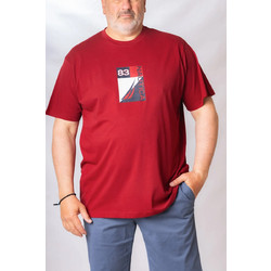 T-SHIRT K/M NAUTICA ΒΑΜΒΑΚΕΡΟ ΣΤΑΜΠΩΤΟ - ΜΠΟΡΝΤΩ