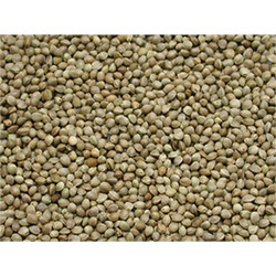 Vadigran Big Hempseed Fish Bait Σπόροι Hempseed για Δόλωμα Ψαρέματος 15kg