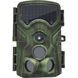 Braun Phototechnik Black 1300