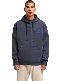 RVCA Dalas Snake Ανδρικό Φούτερ με Κουκούλα Μπλε EVYSF00177-KSD0