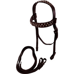Domleathers Χαλινάρι Αλόγου BL DL48908