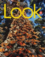 Look 1 Look 1