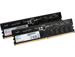 Adata 16GB (2X8GB) DDR5 RAM 5600MHz C46 Black AD5U56008G-DT