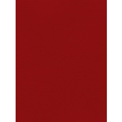 Favini Χαρτόνι Κανσόν Μπορντό 50x70cm 831.5070.08T