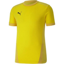 Puma Teamgoal 23 Ανδρικό Αθλητικό T-Shirt Κίτρινο 704171-07
