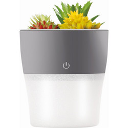 Setty Humidifier NP-18 Grey