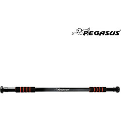 Pegasus B-2203B