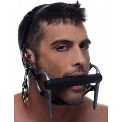 Master Series Steed Head Harness
